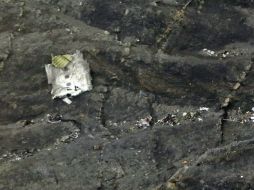 Los trabajos de identificación de las víctimas del accidente aéreo aún continúan.  / T. Koehler