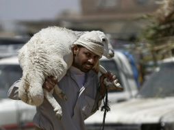 El viceministro al Zaur insistió que 'el medio rural puede ser un lugar seguro, la agricultura puede ayudar a la gente a sobrevivir'. AP / ARCHIVO