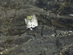 El copiloto es sospechoso de haber estrellado voluntariamente la aeronave en los Alpes franceses. EFE / T. Koehler