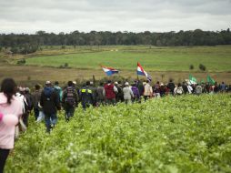 En Paraguay, menos del 3% de la población es dueña de cerca del 85% de la tierra, según ONG Oxfam. EFE / ARCHIVO