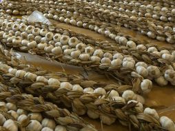 La remedio llamado 'bálsamo de ojo', incluye ajo, cebolla, vino y hiel de vaca, el cual esta plasmado en el Bald's Leechbook. EL INFORMADOR / ARCHIVO