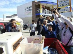 Por el hecho son detenidos tres personas chinas, además de una mesera y un cocinero mexicanos; el perro muerto es recogido. EFE /