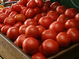 En mercados de la capital jalisciense este producto llegó a ser más barato hasta en un 45%. EL INFORMADOR / ARCHIVO