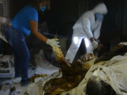 Atendieron dudas e inquietudes de familiares asistentes, informan autoridades. EFE / ARCHIVO