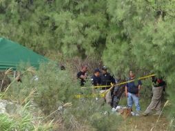 Los restos se someterán a análisis de ADN para buscar empatar su perfil con alguno de los que se tienen en la base de datos del IJCF. ESPECIAL /