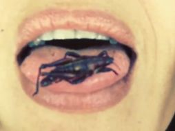 En el video se observa a la famosa disfrutar de su alimento. INSTAGRAM / salmahayek