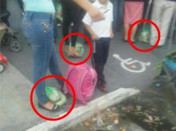 El Partido Revolucionario presentó fotografías y videos como pruebas. ESPECIAL / PRI Jalisco