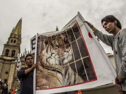 El tema de la prohibición de animales en circos ha generado mútiples manifestaciones a favor y en contra. EL INFORMADOR / ARCHIVO