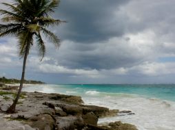 El Foro Económico Mundial se llevará a cabo del 6 al 8 de mayo en la Riviera Maya, Quintana Roo. NTX / ARCHIVO