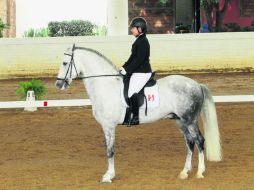 Participarán alrededor de 150 caballos españoles de aproximadamente 18 ganaderías. AFP / J. Soriano