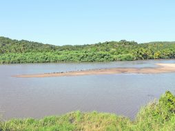 Una vista del maravilloso Estero el Rosario. EL INFORMADOR / V. García