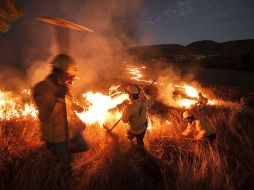 De acuerdo con la Conafor, la ciudadanía contribuye a aminorar los daños al reportar con mayor rapidez los siniestros. EL INFORMADOR / ARCHIVO