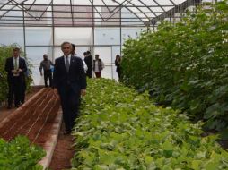 Al respecto el mandatario dijo que la investigación la harán autoridades federales. TWITTER / @ManceraMiguelMX