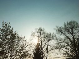 En muchas poblaciones y ciudades de Alemania se organizan fiestas populares al aire libre, concursos de canciones, kermés, entre otras. TWITTER / @Berlin