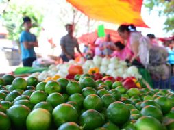 En Guadalajara, el kilogramo de limón se cotiza alrededor de los ocho pesos. EL INFORMADOR / ARCHIVO