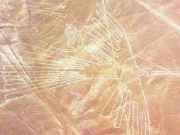 Una enorme ave de cientos de metros de longitud, trazada con precisión en  la  desértica planicie del Perú. EL INFORMADOR / P. Fernández