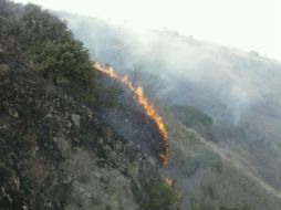 Autoridades informaron que el incendio ya fue controlado y no hay riesgo para la población cercana. TWITTER / @UMPCyBZ