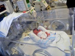 Gabriel, el más pequeño de ellos está en condición crítica. EFE / ARCHIVO