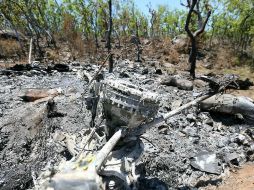 La 'Operación Jalisco' inició hace un mes donde presuntos criminales murieron en un enfrentamiento con militares. AFP / ARCHIVO