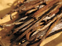 Aseguran que son más de 110 especies pero sólo dos son comercialmente explotadas. SUN / ARCHIVO