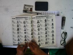 El PREP arroja triunfos para el PAN en 11 de los 18 municipios; tres alcaldías son para el PRI, una para el PVEM y una para el Panal. EL INFORMADOR / ARCHIVO