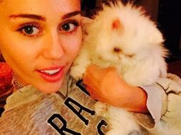 En abril pasado, la cantante estadunidense compró una residencia en Hidden Hills, California, por cinco millones de dólares. INSTAGRAM / mileycyrus