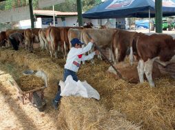 Aseguran que la mayor disminución en las plazas son en el sector agropecuario. EL INFORMADOR / ARCHIVO