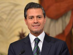 Peña Nieto asegura que cualquier participación política debe darse con apego a derecho. EFE / M. Brambatti
