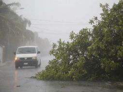 La ciudad se semiparalizó y el servicio de transporte disminuyó. AP / I. Leal