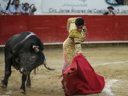 El Verde subraya que se debe concientizar a las familias mexicanas para alejar a los menores de la violencia hacia los animales. EL INFORMADOR / ARCHIVO
