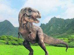 Desde su estreno, este largometraje ha acumulado en total 243 millones 156 mil 173 pesos. ESPECIAL / Universal Pictures