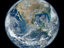 La afirmación de la extinción se basa en la rapidez de desaparición de las especies. NTX / ARCHIVO