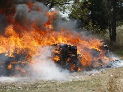 La droga se relaciona con 19 averiguaciones previas del Ministerio Público de la Federación. EL INFORMADOR / ARCHIVO