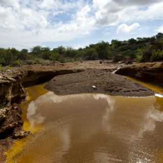 Interponen demanda colectiva contra Grupo México