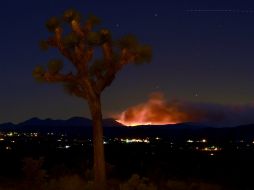 En lo que va del año, California ha registrado dos mil 486 incendios. EFE / P. Buck