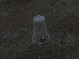 En el lugar encontraron 20 casquillos, de calibres 9 milímetros y 45, además de seis proyectiles deformado. EL INFORMADOR / ARCHIVO