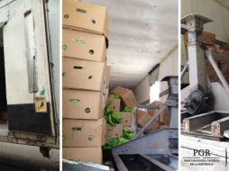 La droga iba oculta en el doble fondo de la caja refrigeradora del tráiler. TWITTER / @PGR_mx