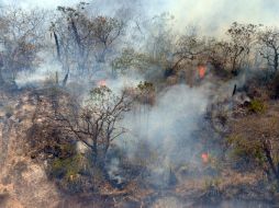 La Conafor abunda que en lo que va del año, se han registrado tres mil 463 incendios forestales en 31 entidades federativas. EL INFORMADOR / ARCHIVO