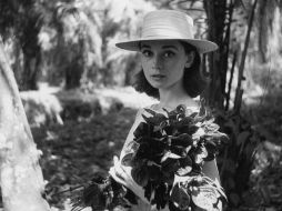 Las fotografías explorarán la carrera de la leyenda del cine, desde sus inicios de bailarina hasta su labor como embajadora de Unicef. EFE / L. Fuchs