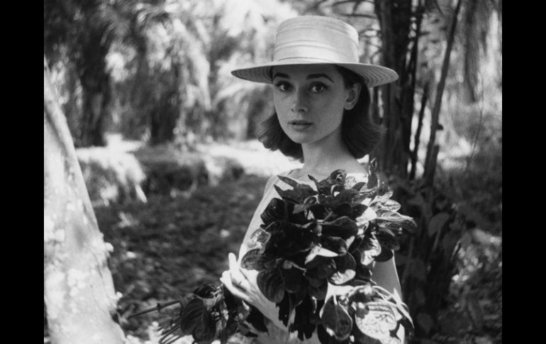 Las fotografías explorarán la carrera de la leyenda del cine, desde sus inicios de bailarina hasta su labor como embajadora de Unicef. EFE / L. Fuchs