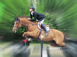 Tras el primer lugar en la 'Copa West Canadian', Gaspar y “Puertas So What” buscarán repetir la hazaña el próximo sábado. EL INFORMADOR / ARCHIVO