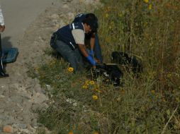 Los restos fueron encontrados dentro de tres bolsas negras de basura. EL INFORMADOR / ARCHIVO