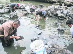 Tesoros perdidos. La necesidad ha hecho que varios hombres se reúnan en el canal de Atemajac para buscar objetos de valor. EL INFORMADOR / R. Tamayo