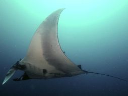 El personal está trabajando para regresar a lo normal los niveles de oxígeno del tanque. EFE / ARCHIVO