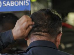 Si tu problema se debe a la sequedad del cuero cabelludo, puedes utilizar aceite de oliva, el cual es un excelente hidratante. EL INFORMADOR / ARCHIVO