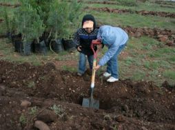 El programa de reforestación es una lucha contra la degradación de los suelos y contribuye a mitigar los efectos del cambio climático. TWITTER / @gobrep
