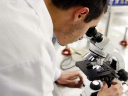 El gobierno de Japón ofrece compartir el conocimiento en la utilización de estas técnicas novedosas, impartido por expertos japoneses. EL INFORMADOR / ARCHIVO