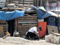 México contuvo el crecimiento de la pobreza extrema e incluso la redujo. NTX / ARCHIVO