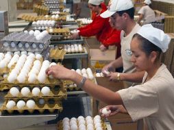 Estados Unidos publica nuevas reglas para la entrada de embarques de huevo desde México. EL INFORMADOR / ARCHIVO