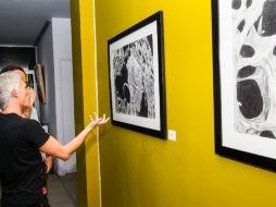 'Osteoporosis, paisaje de la decadencia', estará hasta el 23 de agosto. EL INFORMADOR / P. Pérez